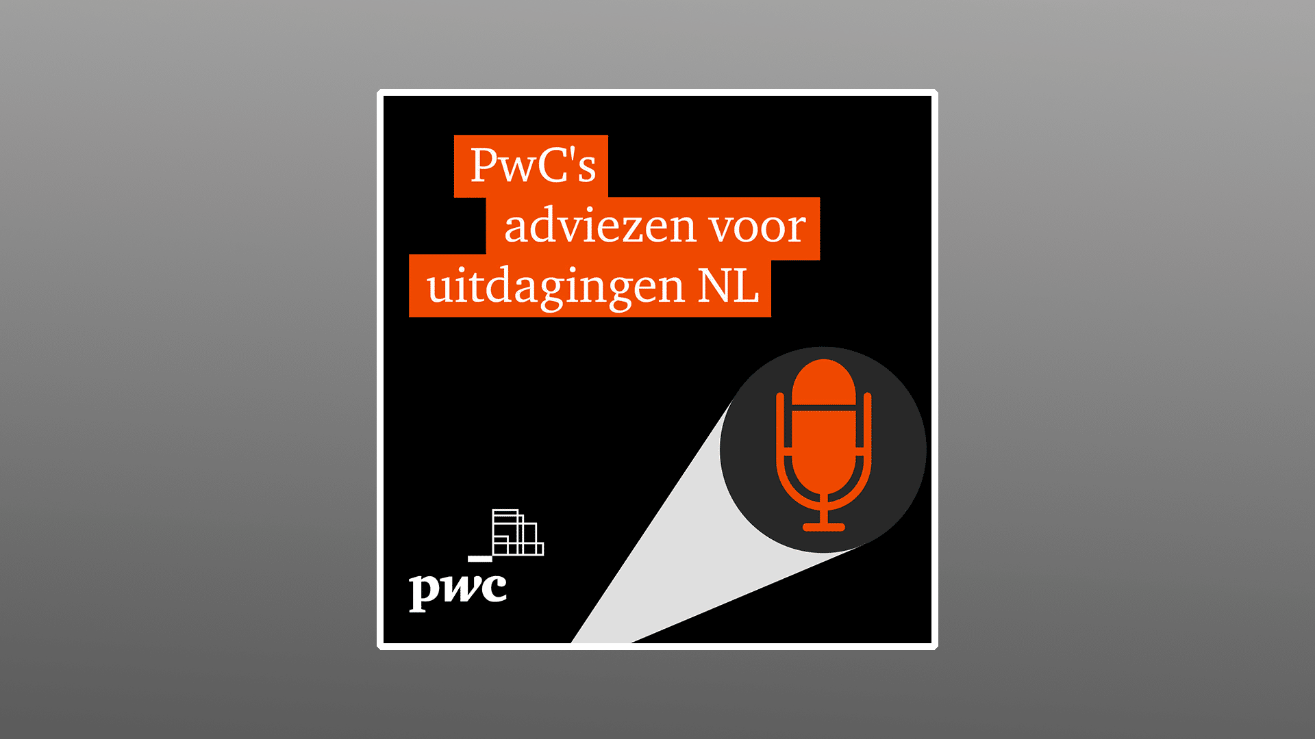 Portfolio | PwC's adviezen voor de grootste uitdagingen van Nederland